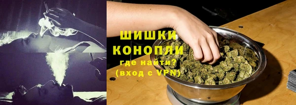 трава Белокуриха