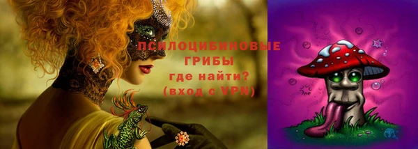 трава Белокуриха