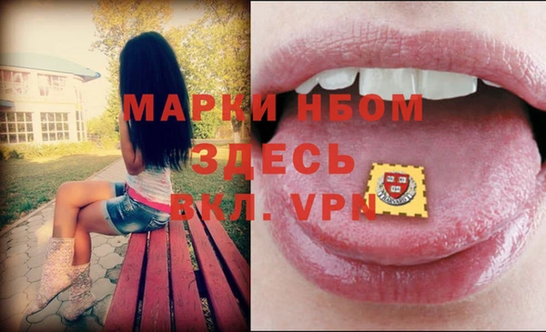 трава Белокуриха
