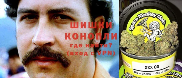 трава Белокуриха