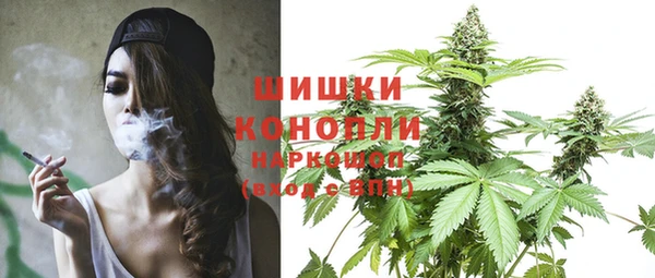 трава Белокуриха