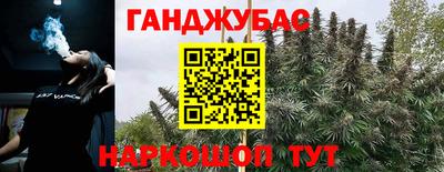 эйфоретик Бийск