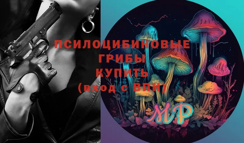 Галлюциногенные грибы Psilocybe  Верхний Уфалей 