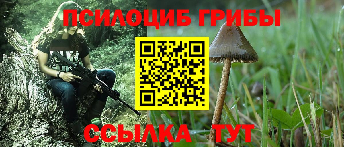 Верхний Уфалей  Псилоцибиновые грибы Psilocybine cubensis  где продают наркотики  Вход с VPN 