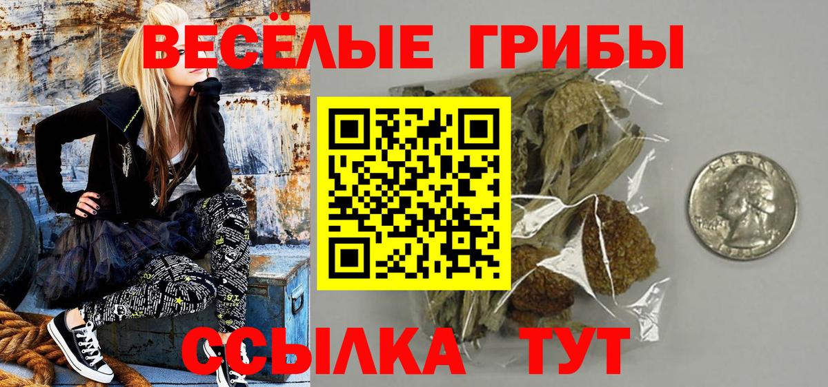 Псилоцибиновые грибы GOLDEN TEACHER  Верхний Уфалей 